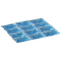 Παγοκύστες Gel Campingaz Flexi Freez Pack