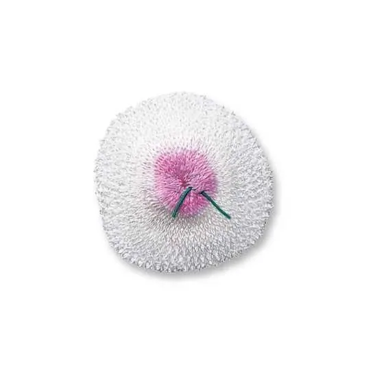 Φυτίλι 2 Οπών Primus 3τεμ | www.lightgear.gr